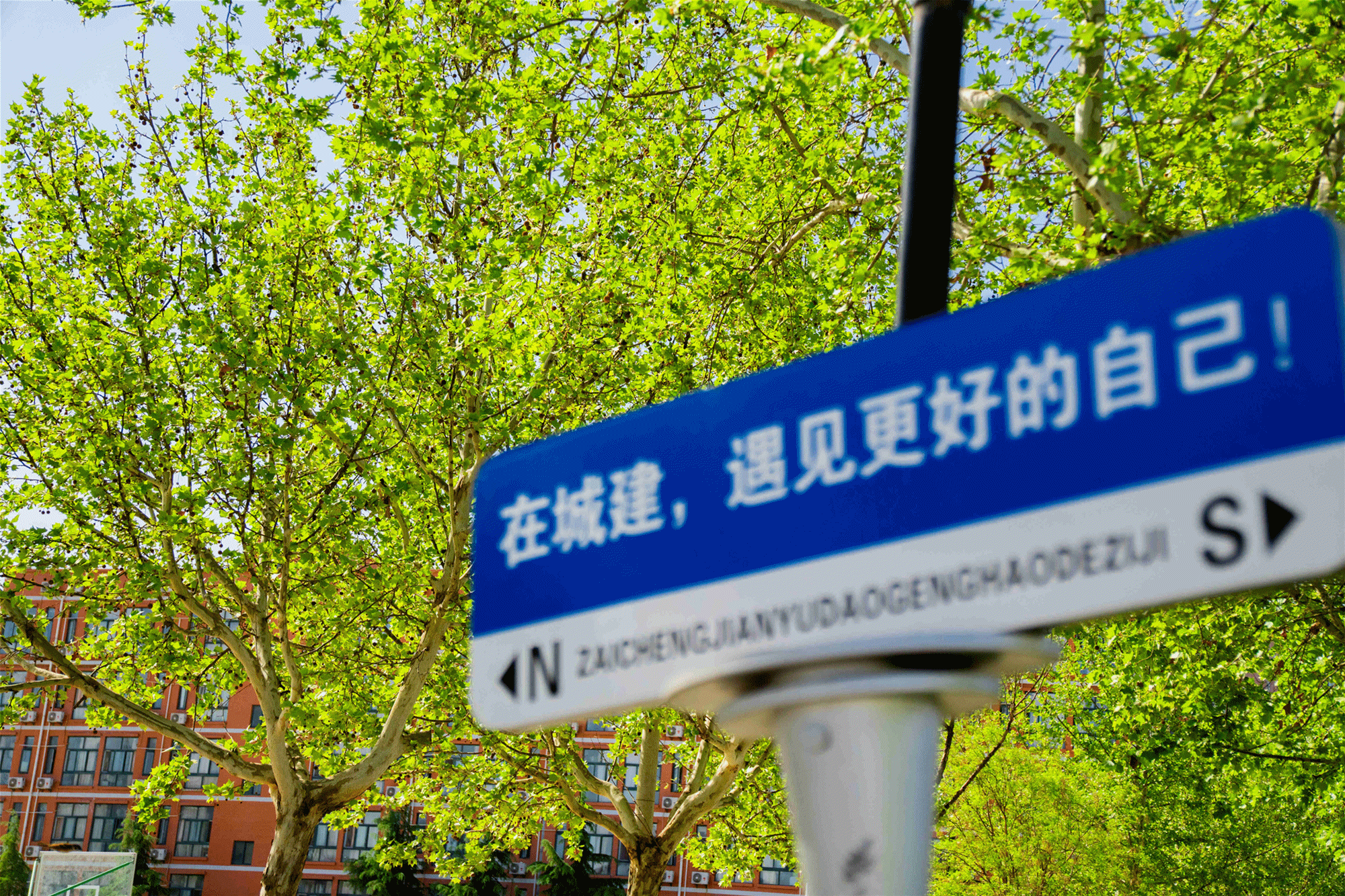 以綠色發(fā)展理念 賦能育人創(chuàng)新——金葉科教集團教育事業(yè)兩校生態(tài)環(huán)境建設獲省級認可